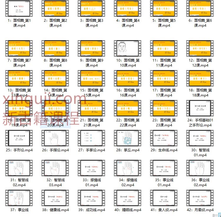 信乙老师【价值万元手相_面相课_一听就懂_一学就会_一用就准_】插图