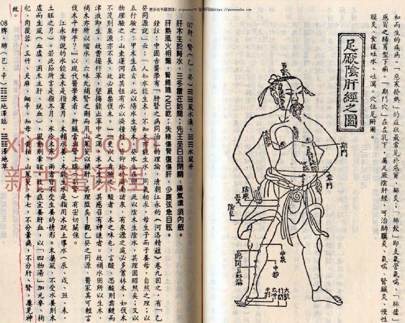 何仲皋《脏腑通》解说.pdf18p插图