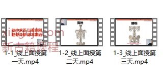 2408118 邱磊动态还原术网络面授2023年新课插图