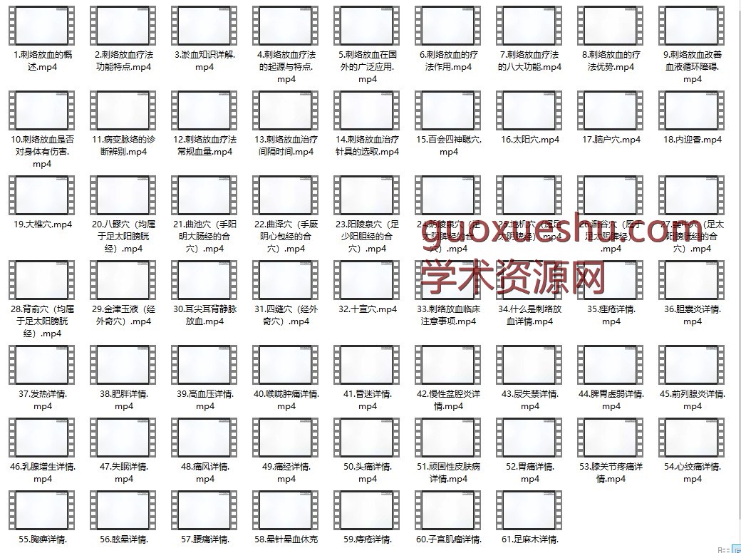 王合民刺络放血疗法系统全套教学班61插图