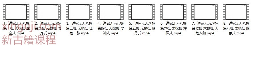 许微含《道家无为八桩》视频8集插图