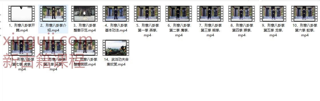 许微含《形意八卦掌》视频14集插图